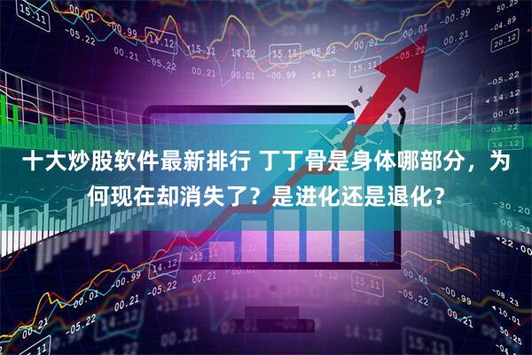 十大炒股软件最新排行 丁丁骨是身体哪部分，为何现在却消失了？是进化还是退化？