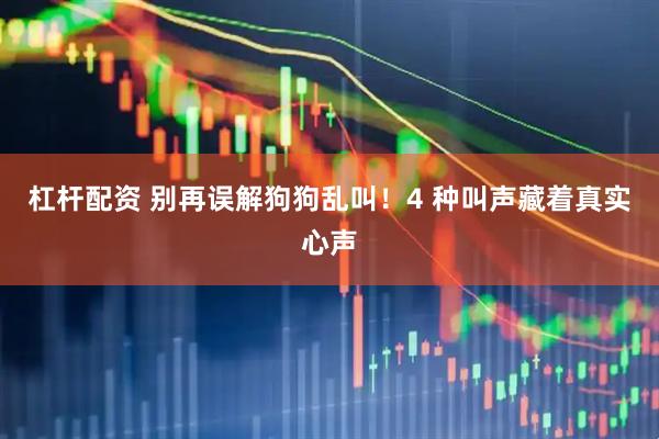 杠杆配资 别再误解狗狗乱叫！4 种叫声藏着真实心声