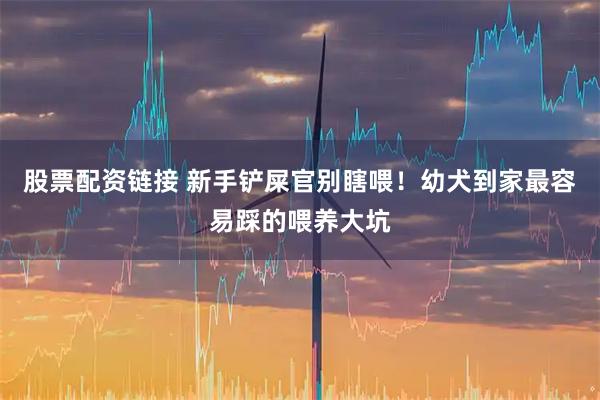 股票配资链接 新手铲屎官别瞎喂！幼犬到家最容易踩的喂养大坑
